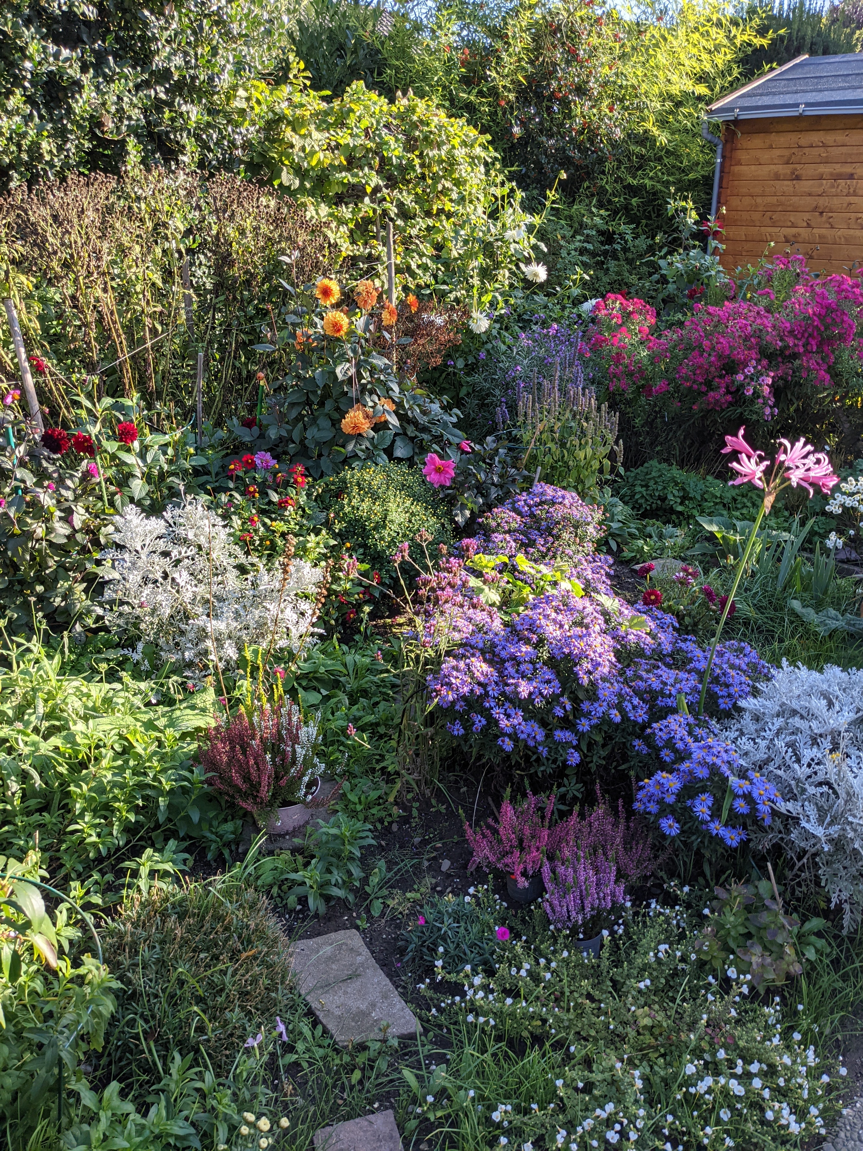 Gartenwettbewerb