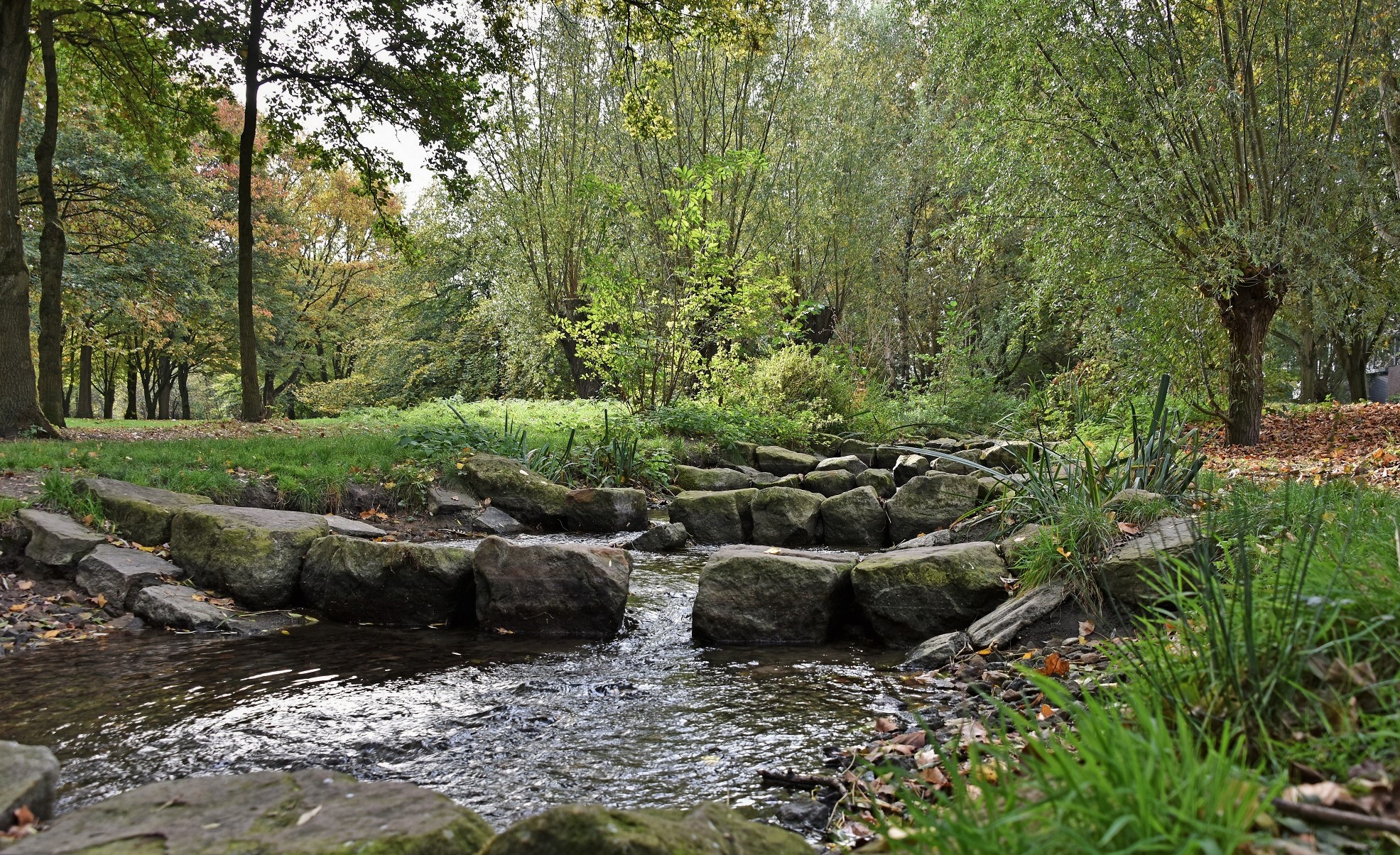 Wildkräuterwanderung