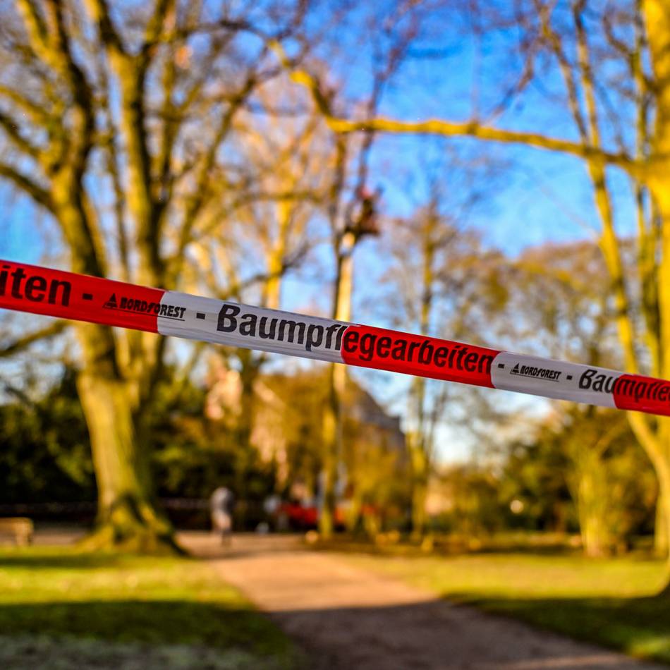 Dauerstreitthema in Moers : Fällungen im Schlosspark – bei 22 Bäumen weiter keine Einigung